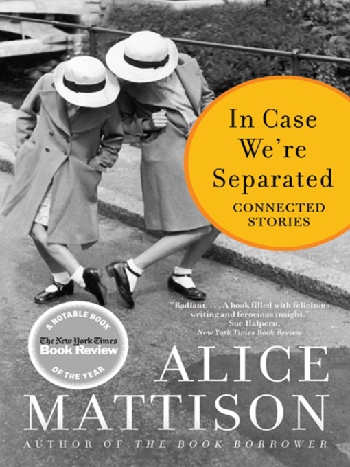 Title details for In Case We're Separated by Alice Mattison - Available